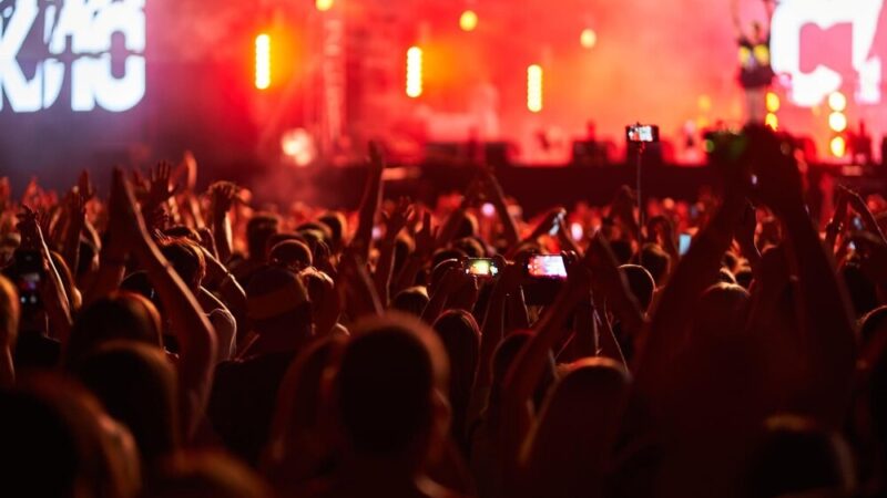 Festiwal Roślin w Jaśle: Odkryj nowe odmiany i wyjątkowe okazje!
