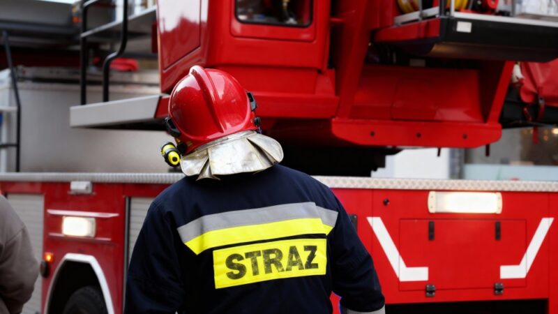 Międzynarodowe ćwiczenia ratownicze w Zborowie: Polska i Słowacja w akcji