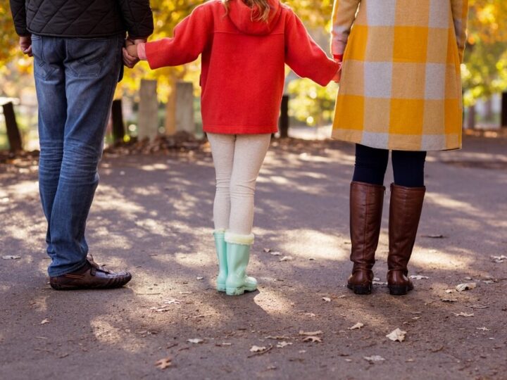 Pies pod choinkę: odpowiedzialność czy świąteczny kaprys?