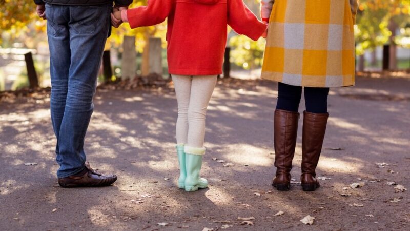 Pies pod choinkę: odpowiedzialność czy świąteczny kaprys?