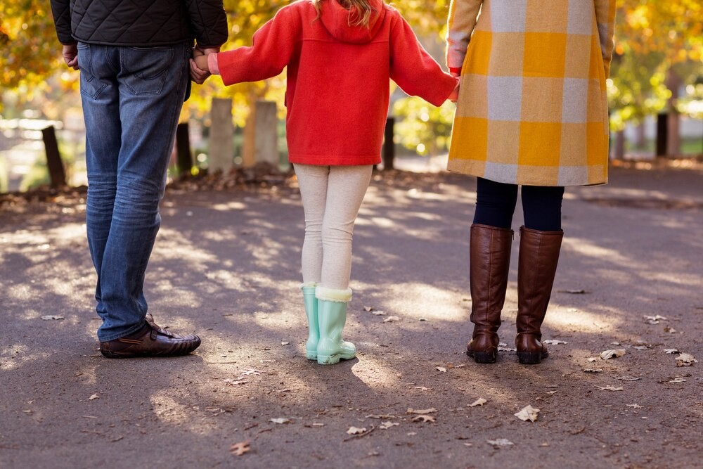 Pies pod choinkę: odpowiedzialność czy świąteczny kaprys?