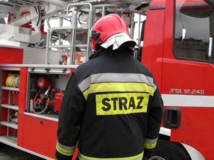 Franek na czołowej pozycji OSP: czy to dobry wybór?