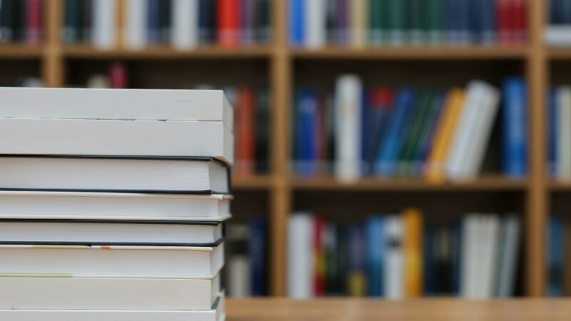 Leśne tajemnice: dzieci odkrywają świat jelenia w bibliotece