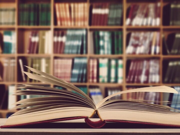 Walentynkowe serca i przyjaźnie: dzieci odkrywają magię w bibliotece