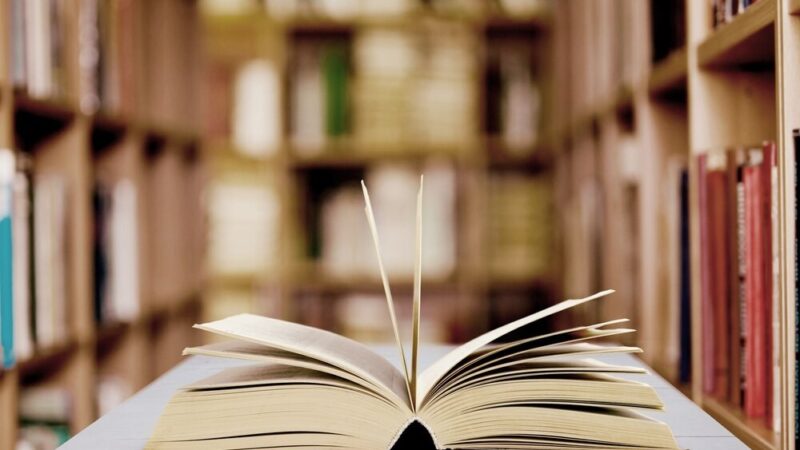 Literackie bohaterki, które kształtują nasze życie