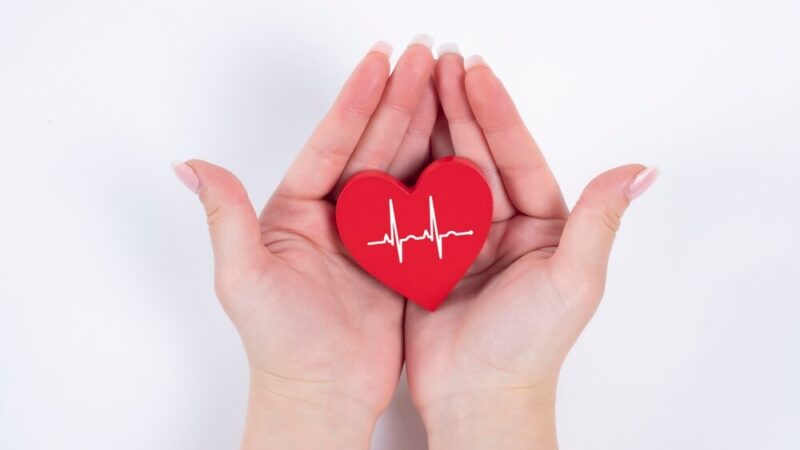 Wiosenne szczepienia dzikich lisów przeciwko wściekliźnie w Podkarpackiem