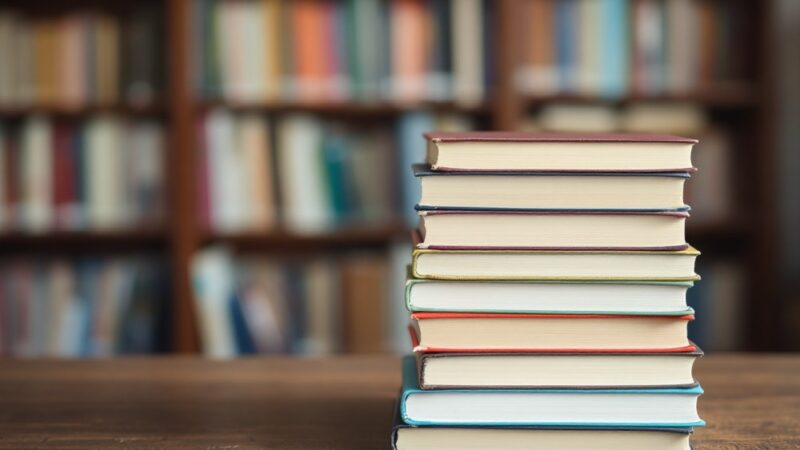 Wybór idealnej książki na wakacje – co zabrać ze sobą?