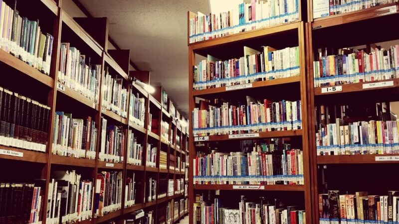 Lodowe przygody w Filii nr 2 Miejskiej Biblioteki Publicznej w Jaśle