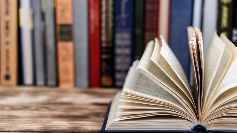 Myszonek w Halloweenowej przygodzie w bibliotece w Jaśle